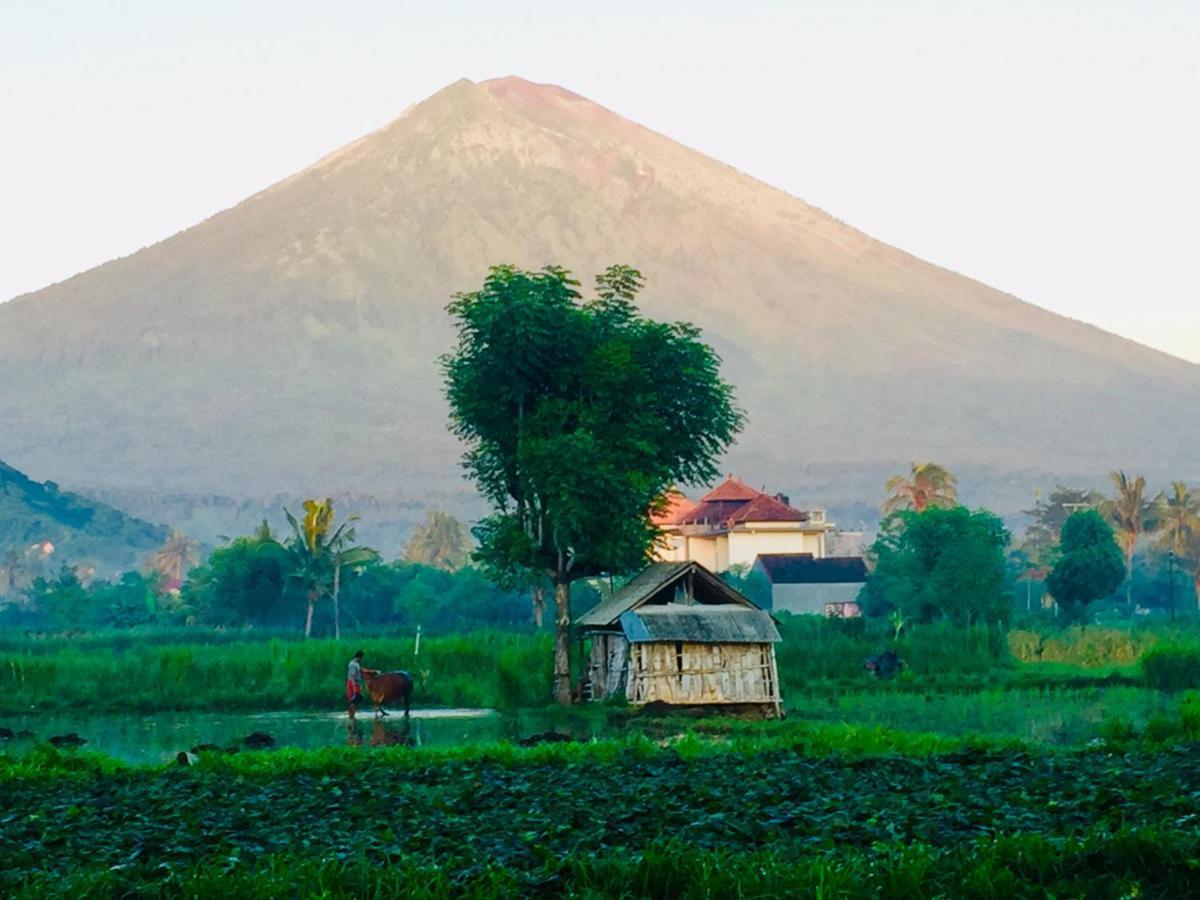 D'Uma Amed Homestay Luaran gambar