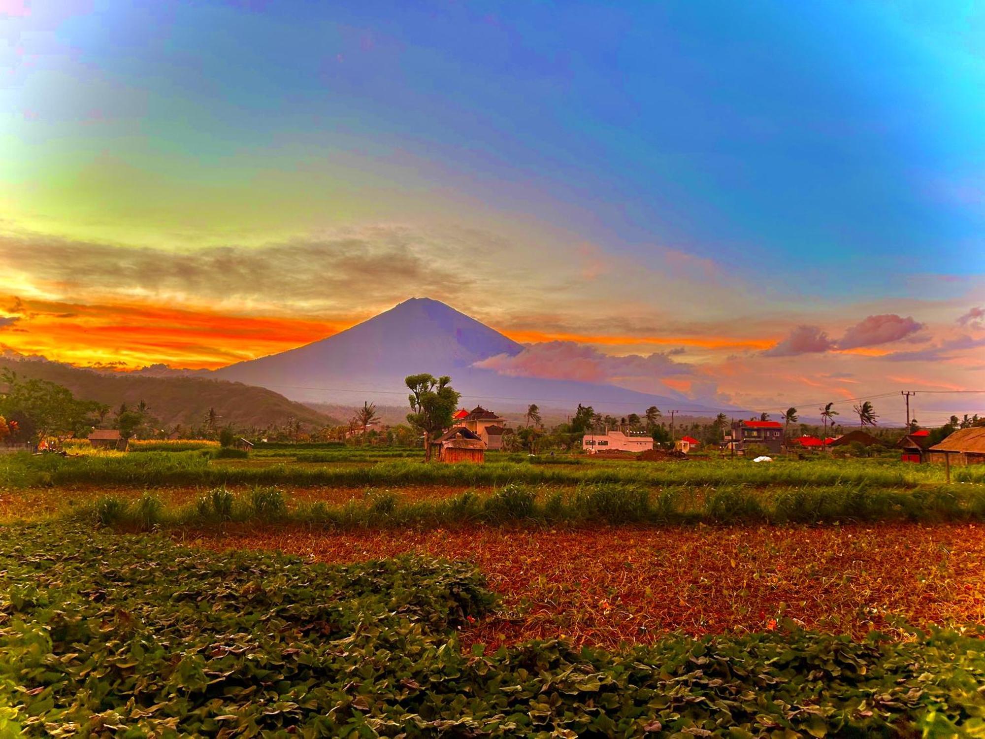 D'Uma Amed Homestay Luaran gambar