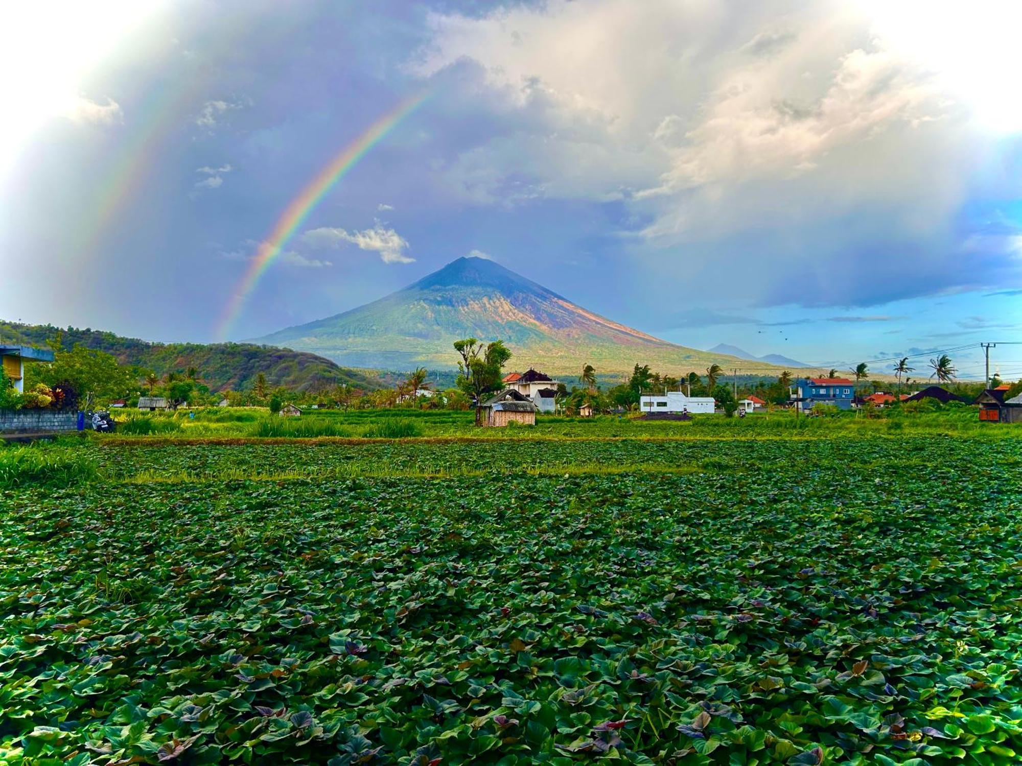 D'Uma Amed Homestay Luaran gambar