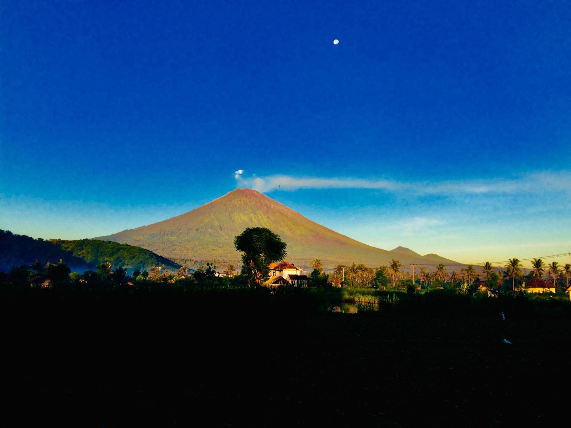 D'Uma Amed Homestay Luaran gambar