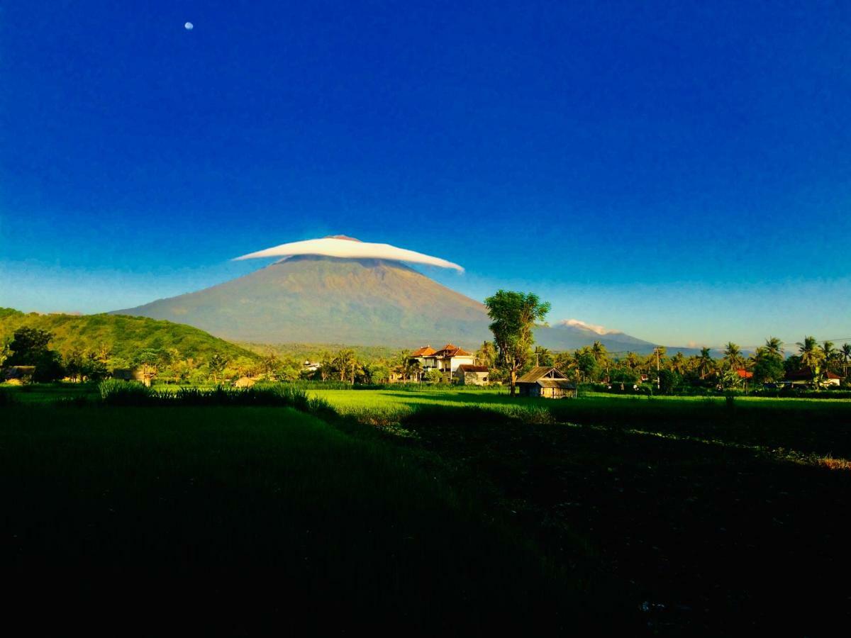 D'Uma Amed Homestay Luaran gambar