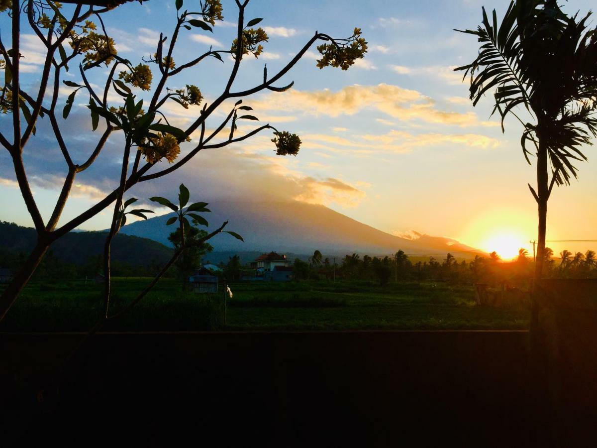 D'Uma Amed Homestay Luaran gambar
